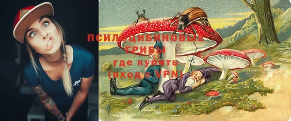 соль ск Аркадак